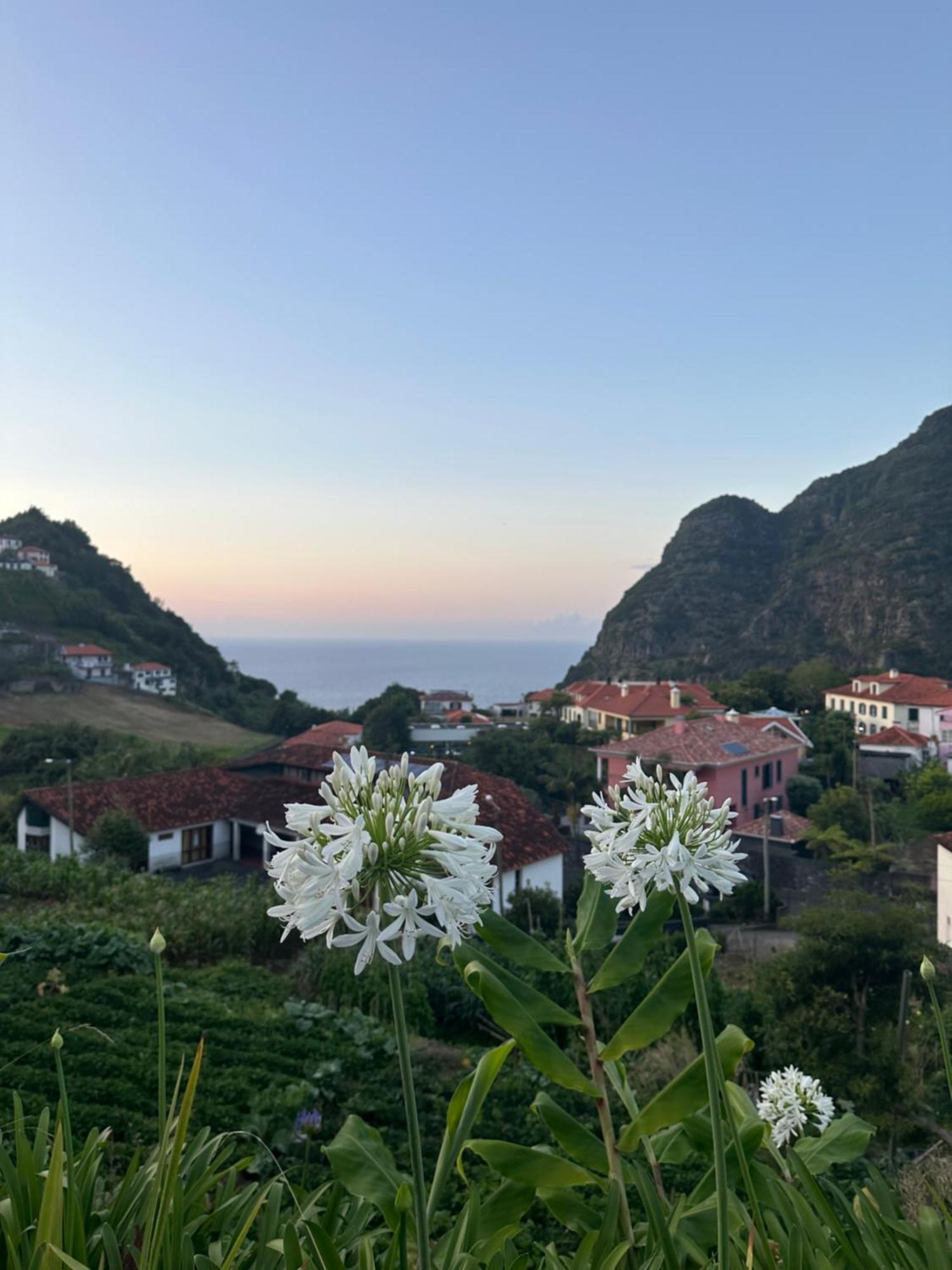 The Green Valley House Сан-Висенти Экстерьер фото